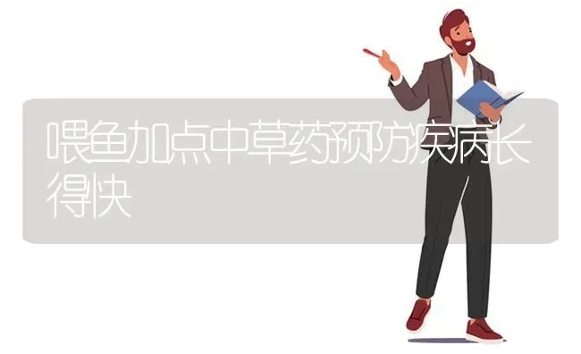 喂鱼加点中草药预防疾病长得快 | 养殖病虫害防治