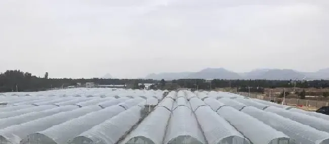 【虾王养成秘籍大解密】长乐虾王连续5年高盈利模式到底是什么样子