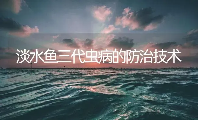 淡水鱼三代虫病的防治技术 | 养殖病虫害防治