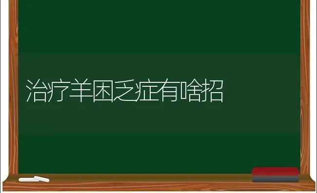 治疗羊困乏症有啥招 | 家畜养殖