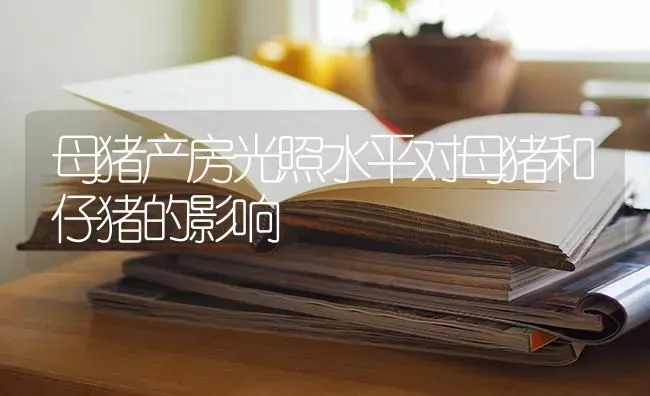 母猪产房光照水平对母猪和仔猪的影响 | 家畜养殖