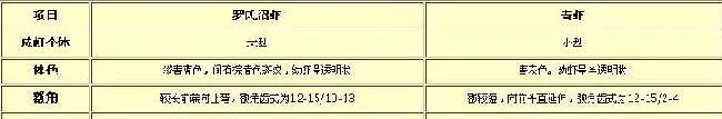 罗氏沼虾概述