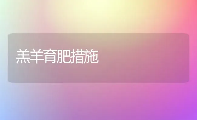 羔羊育肥措施 | 家畜养殖