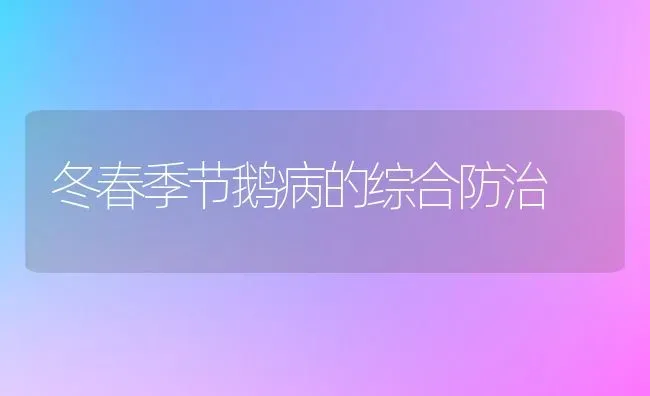 冬春季节鹅病的综合防治 | 家禽养殖