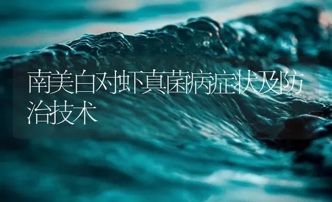 南美白对虾真菌病症状及防治技术 | 海水养殖