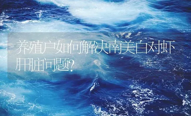 养殖户如何解决南美白对虾肝脏问题？ | 海水养殖