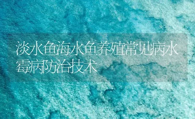 淡水鱼海水鱼养殖常见病水霉病防治技术 | 养殖病虫害防治