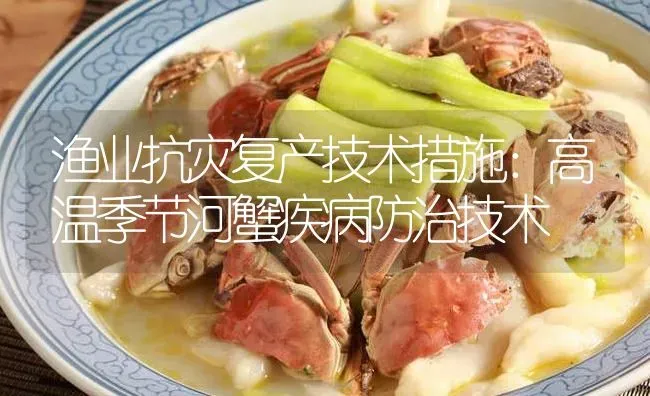 渔业抗灾复产技术措施：高温季节河蟹疾病防治技术 | 淡水养殖