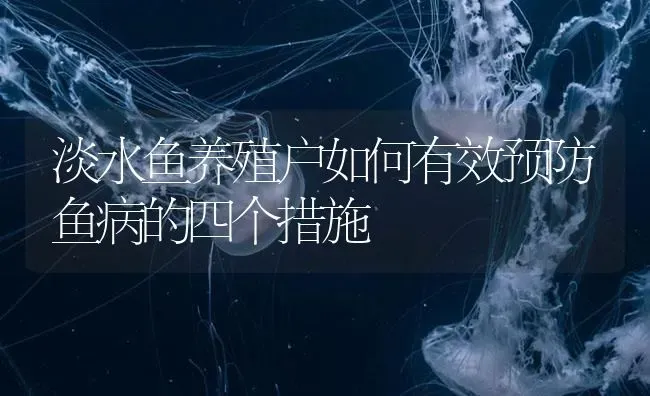 淡水鱼养殖户如何有效预防鱼病的四个措施 | 养殖病虫害防治