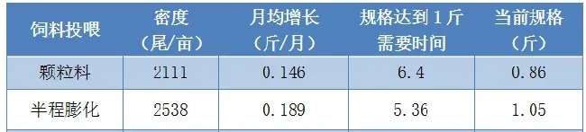 提高密度，引入膨化料，湖北仙桃鳊鱼产量翻一番