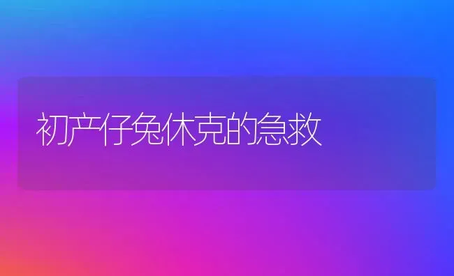 初产仔兔休克的急救 | 家畜养殖