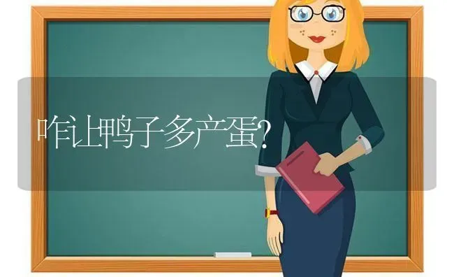 咋让鸭子多产蛋？ | 家禽养殖