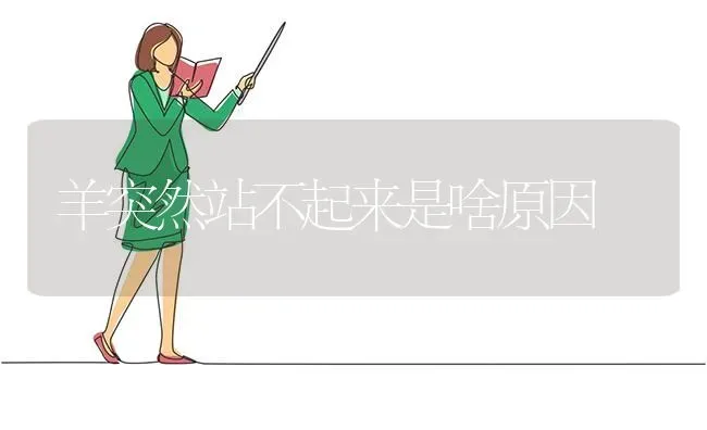 羊突然站不起来是啥原因 | 家畜养殖