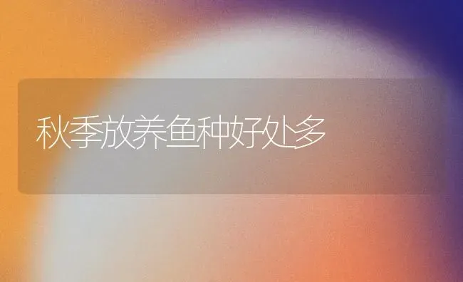 秋季放养鱼种好处多 | 特种养殖