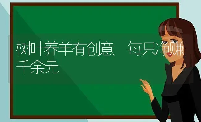 树叶养羊有创意 每只净赚千余元 | 家畜养殖