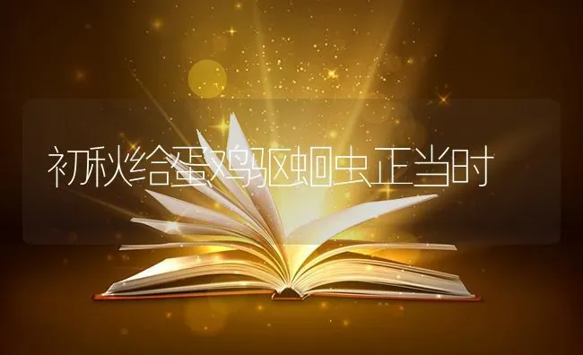 初秋给蛋鸡驱蛔虫正当时 | 家禽养殖