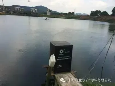 安装投料机以后鲮鱼养殖户喂料省时省力