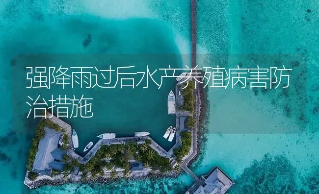 强降雨过后水产养殖病害防治措施 | 养殖病虫害防治