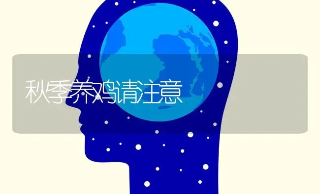 秋季养鸡请注意 | 家禽养殖