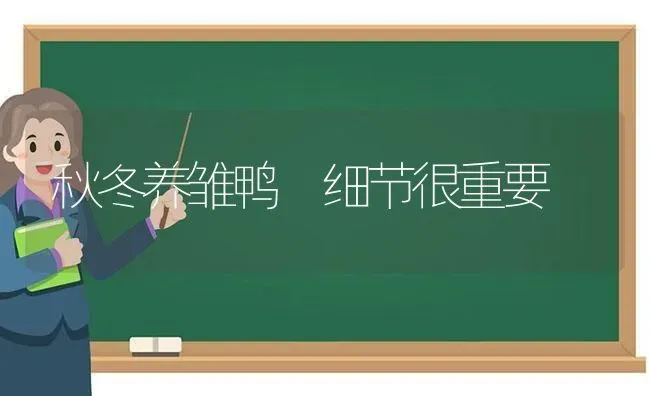 秋冬养雏鸭 细节很重要 | 家禽养殖