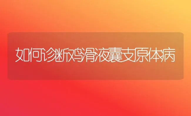 如何诊断鸡滑液囊支原体病 | 家禽养殖