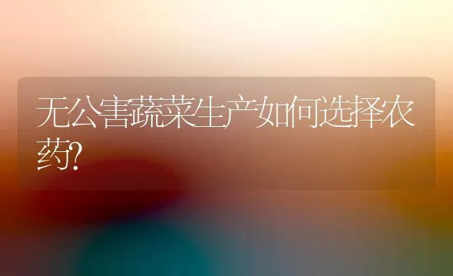 天气多变猪易得风湿病 | 家畜养殖