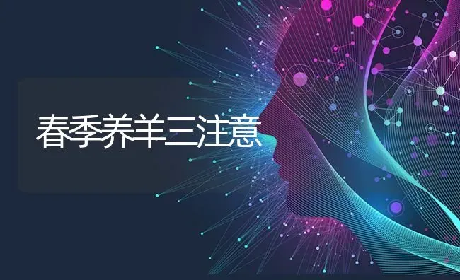 春季养羊三注意 | 家畜养殖