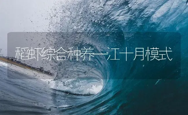 稻虾综合种养—江十月模式 | 海水养殖