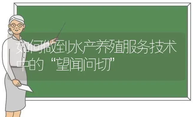 如何做到水产养殖服务技术中的“望闻问切” | 动物养殖百科
