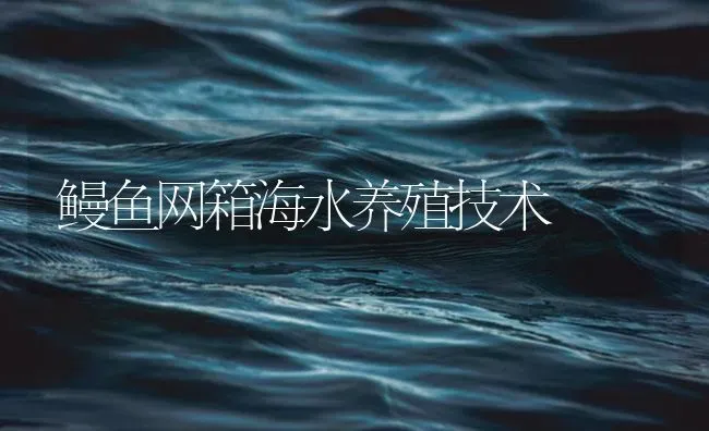 鳗鱼网箱海水养殖技术 | 海水养殖