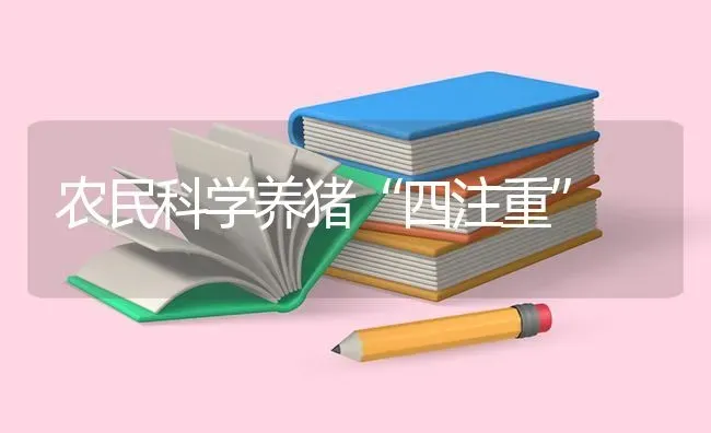 农民科学养猪“四注重” | 家畜养殖