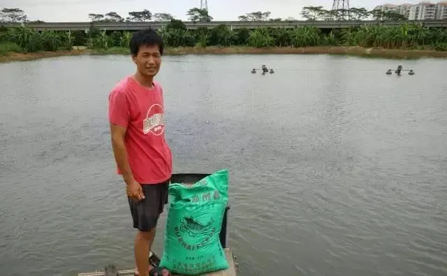 粤海草鱼养殖高手访谈录：做好基本功 用心管好塘