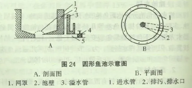 流水养鱼之鱼池建设