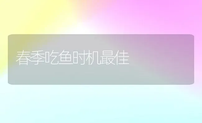 春季吃鱼时机最佳 | 动物养殖百科