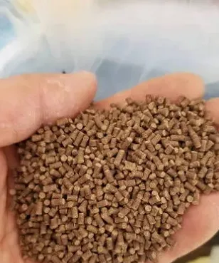 高温季节小龙虾饲料合理投喂建议