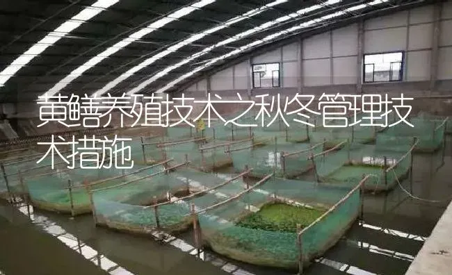黄鳝养殖技术之秋冬管理技术措施 | 淡水养殖