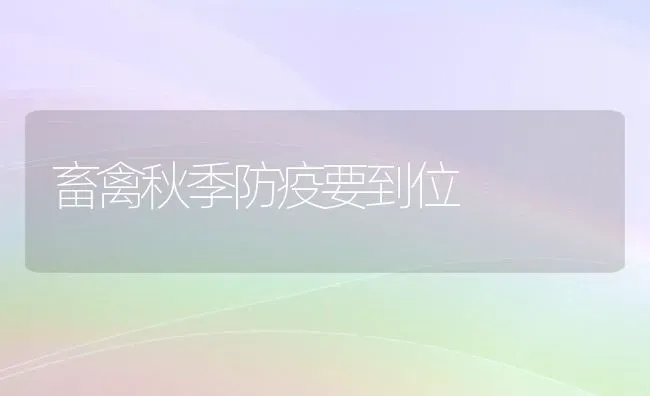 畜禽秋季防疫要到位 | 家禽养殖