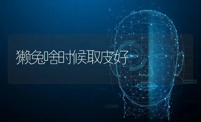 獭兔啥时候取皮好 | 家畜养殖