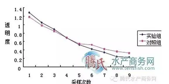 高位池鱼虾分体混养与普通对虾养殖效果对比