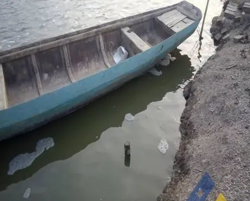 美国红鱼养殖池塘泥泡的处理方法介绍