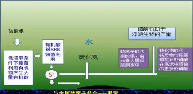 缺氧、浮头、偷死、突发死亡……这个池塘养殖中的罪魁祸首你不得不防！