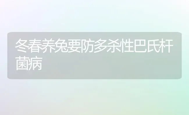 冬春养兔要防多杀性巴氏杆菌病 | 家畜养殖