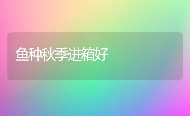 鱼种秋季进箱好 | 淡水养殖