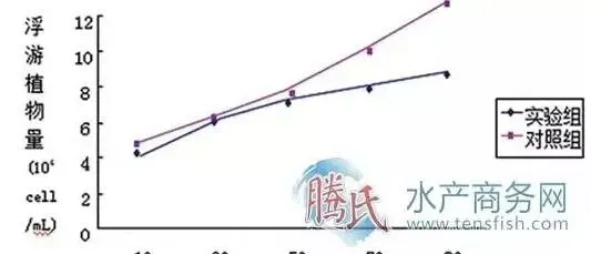 高位池鱼虾分体混养与普通对虾养殖效果对比