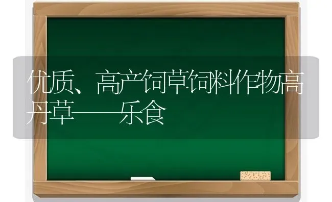 优质、高产饲草饲料作物高丹草——乐食 | 动物养殖饲料