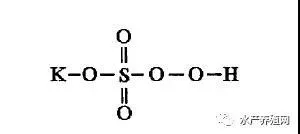 复合过硫酸氢钾产品在水产养殖中的应用