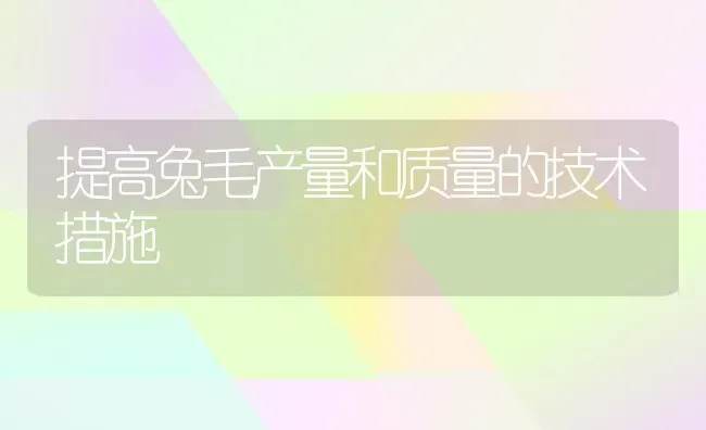 提高兔毛产量和质量的技术措施 | 家畜养殖