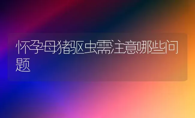 怀孕母猪驱虫需注意哪些问题 | 家畜养殖