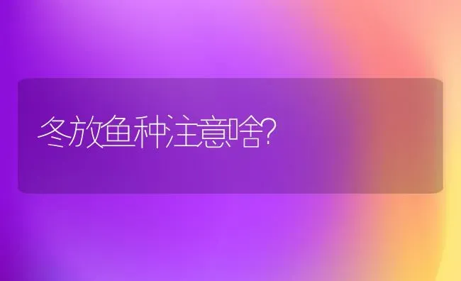 冬放鱼种注意啥？ | 淡水养殖