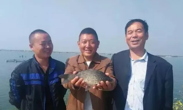 江苏东台鲫鱼养殖户王华喜获丰收：14天增重0.13斤